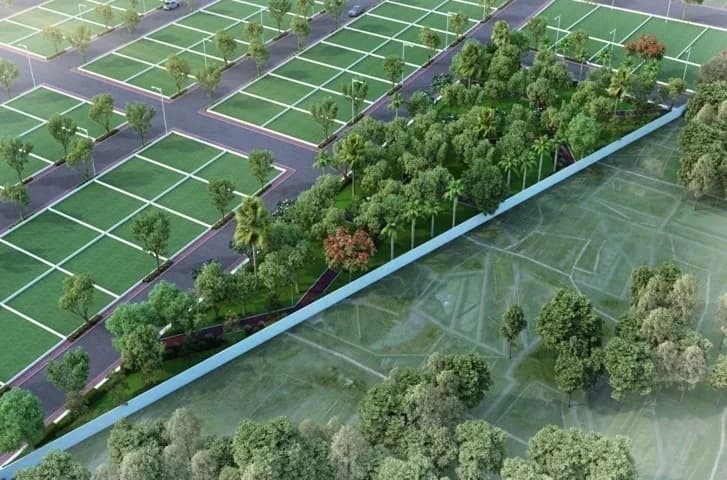 Aerial view of plotted streets beside dense trees