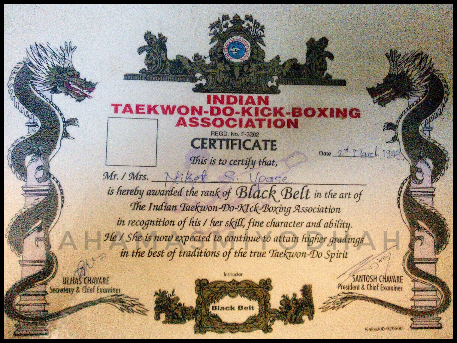 Preview of black belt certification